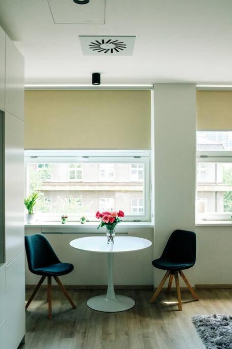 New Studio In Quiet Part Of The City Center 布拉迪斯拉发 外观 照片