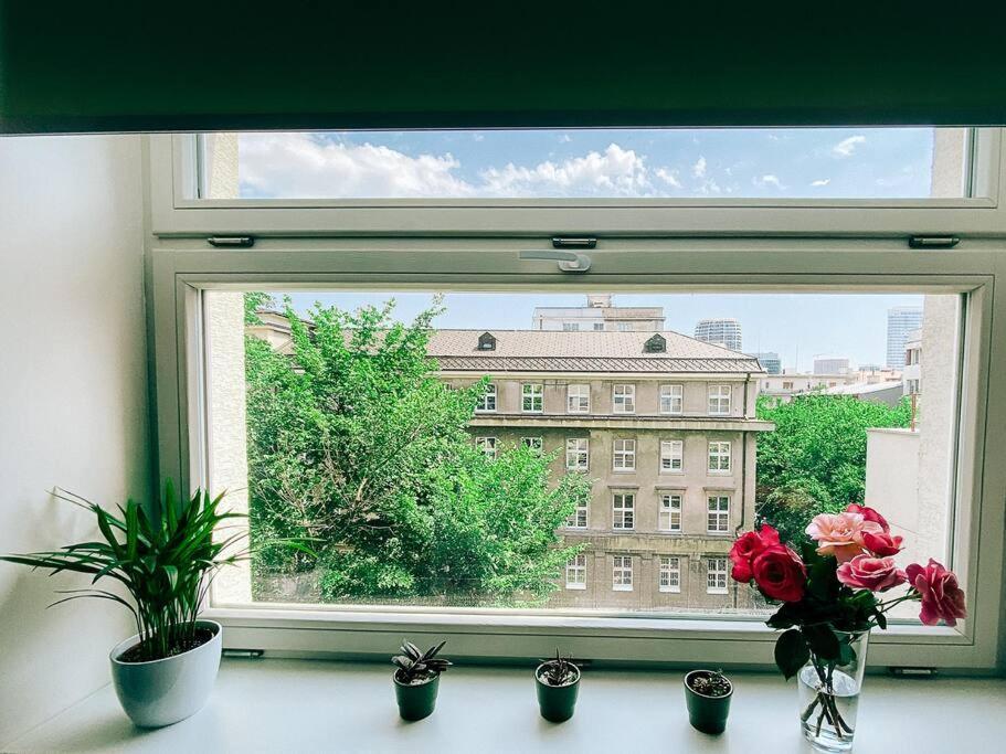 New Studio In Quiet Part Of The City Center 布拉迪斯拉发 外观 照片