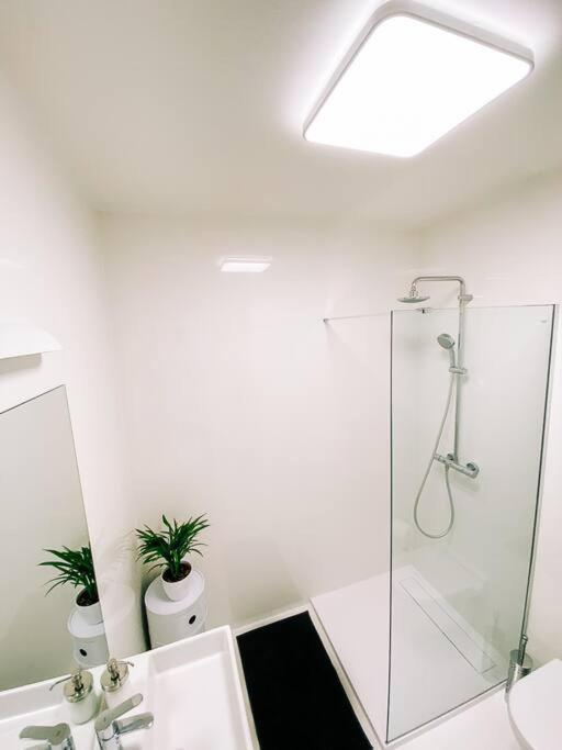 New Studio In Quiet Part Of The City Center 布拉迪斯拉发 外观 照片